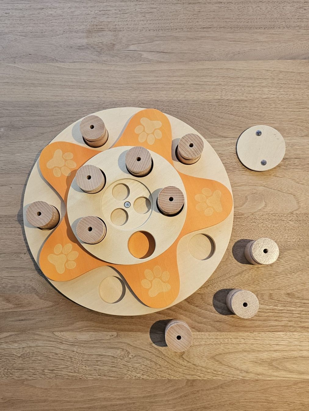 Spielzeuge: Intelligenz Spielzeug Hund Dog's Flower – Neu (gemäss Beschreibung) aus Matzingen von C.Gfeller 2