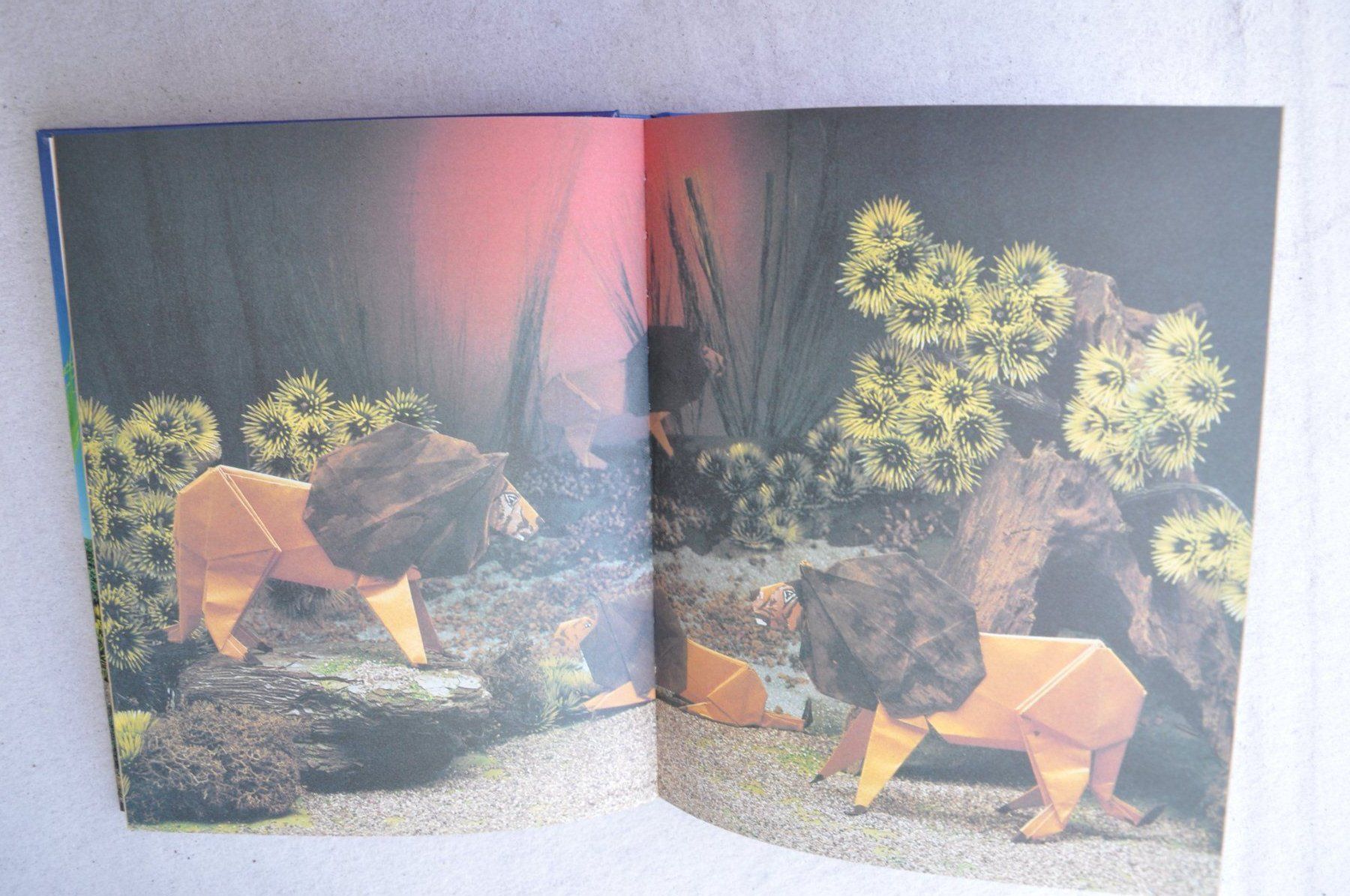 Bücher: Origami - le monde des animaux - Fleurus – Gebraucht aus Fully von Minouchka 1