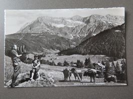 EIGENTAL - ALPSEGEN