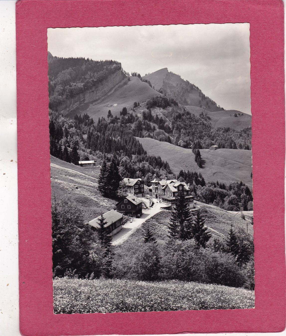 Cartoline postali: Kräzerli am Säntis 1964 – Usato da Herisau venduto da Lisegrat2008