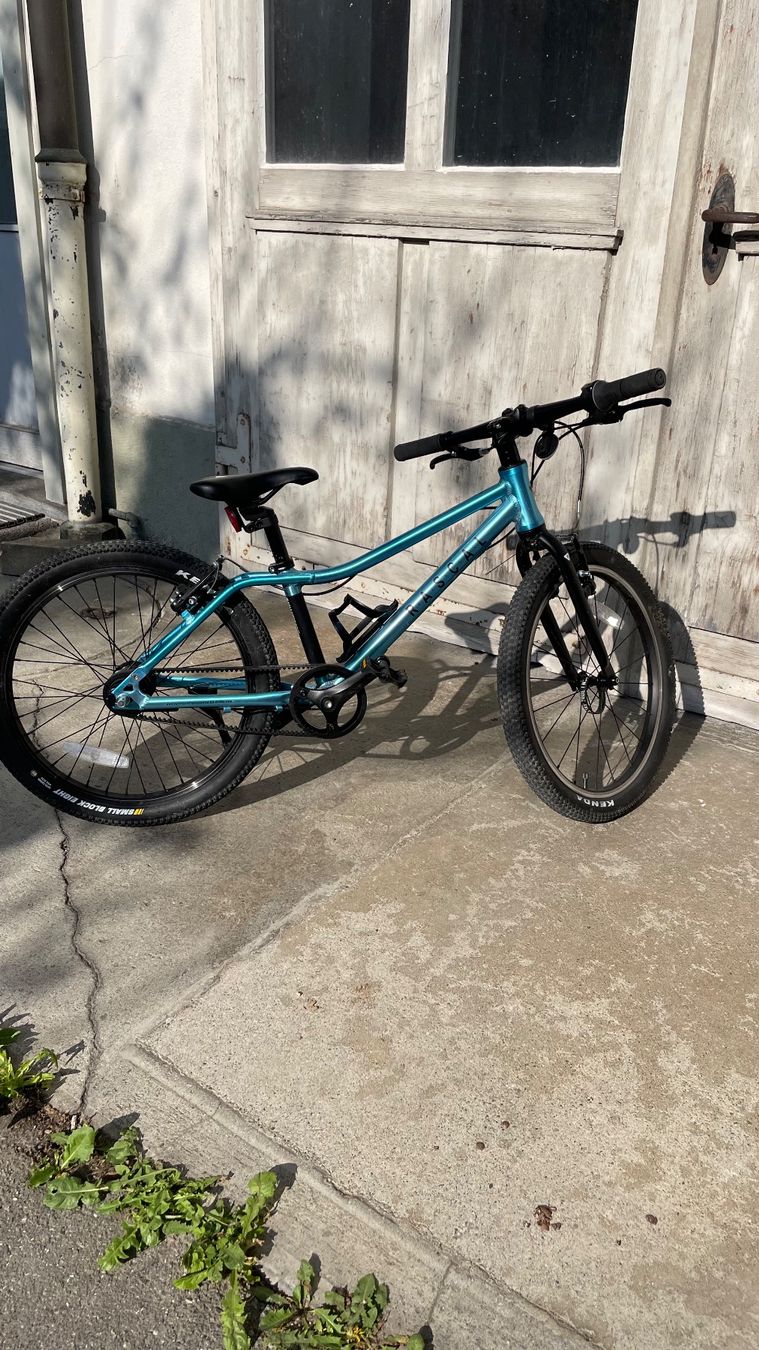 Velos: Rascal Bikes 20" "in TOP Zustand!!!" – Gebraucht aus Thun von tropponuovo 6