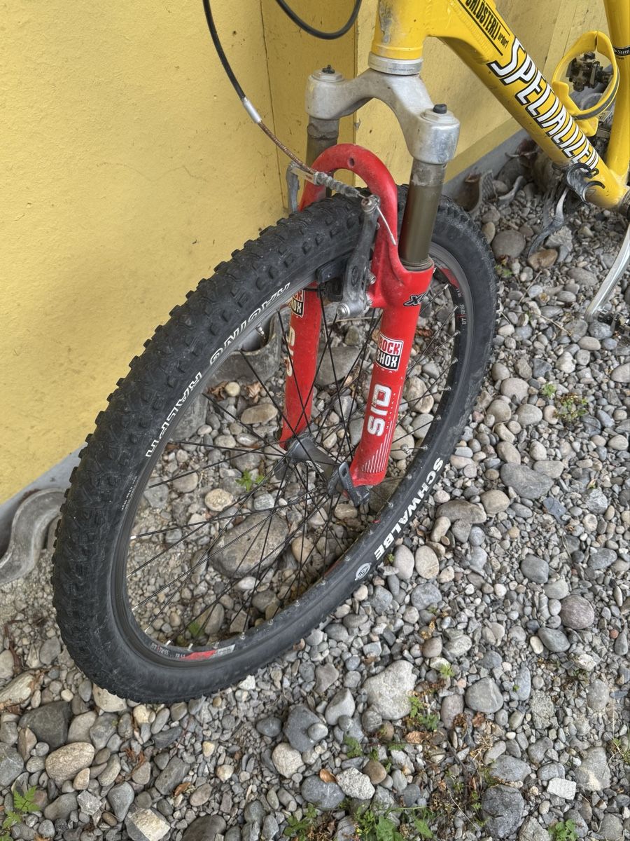 Specialized Velos: Specialized Velo  – Gebraucht aus Schlieren von Freundlich02 8