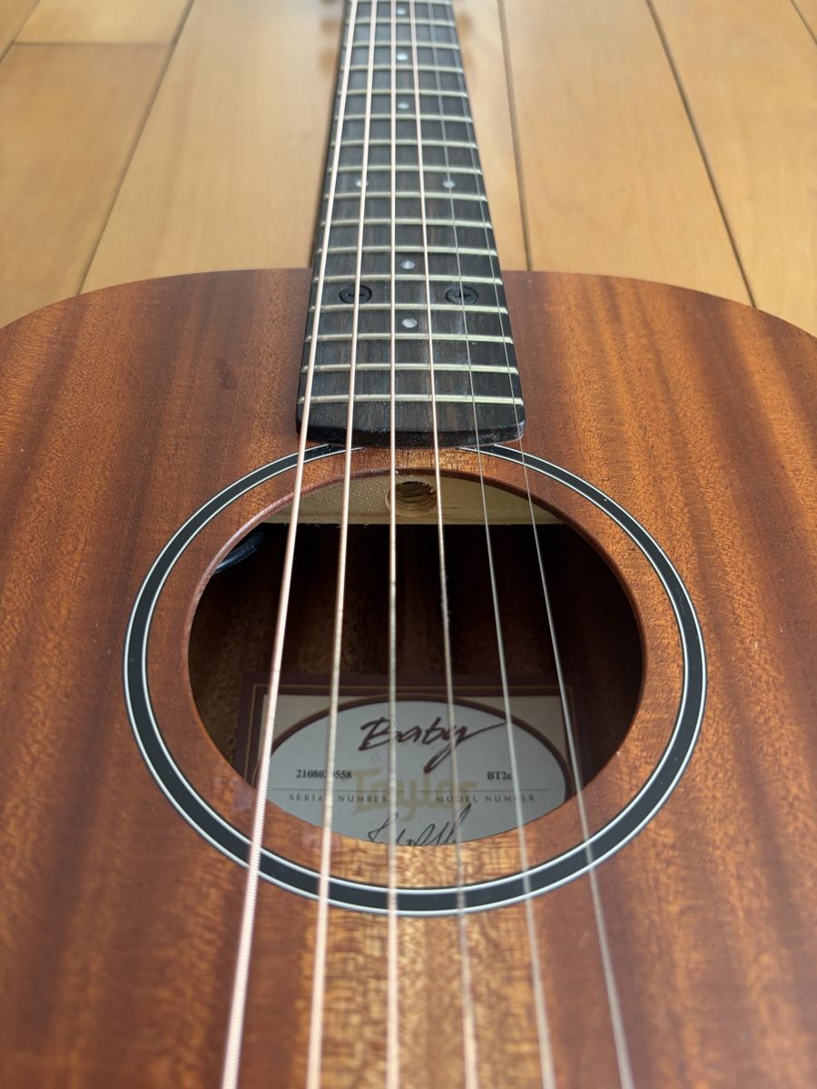 Taylor Strumenti musicali: Taylor BT2e – Usato da Zürich venduto da mw_777 9