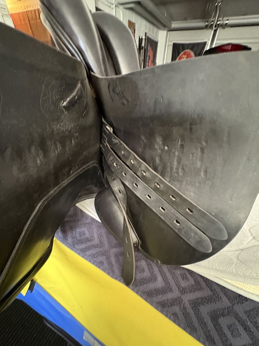 Selle & Accessori: Vielseitigkeitssattel, Leder – Usato da Niederglatt ZH venduto da Rubina2 5