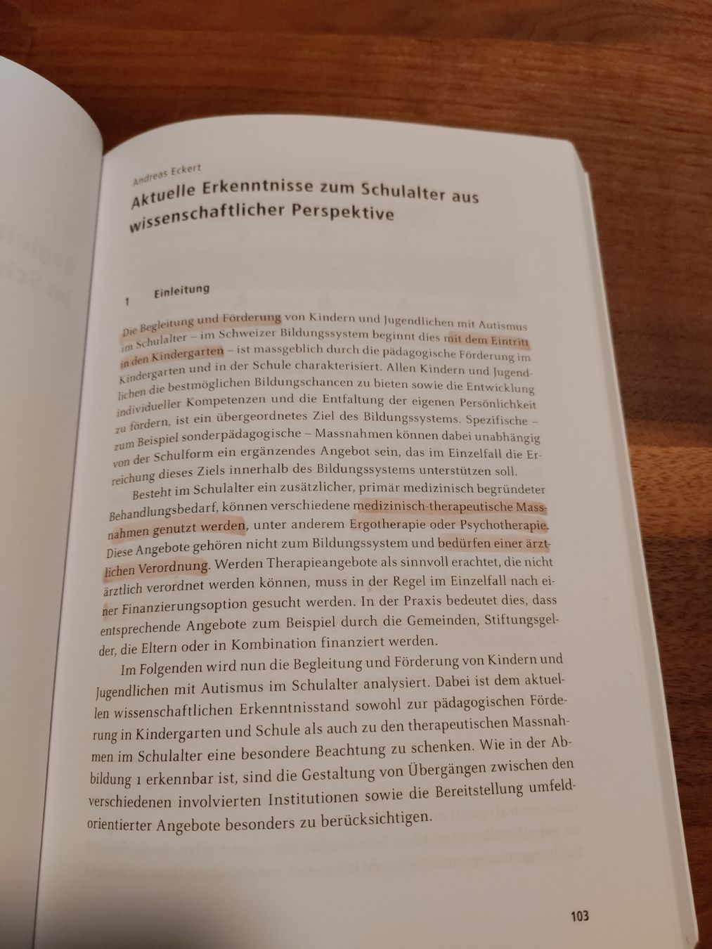 Libri: Autismus in Kindheit und Jugend – Usato da Steinen venduto da Alebiswind 2