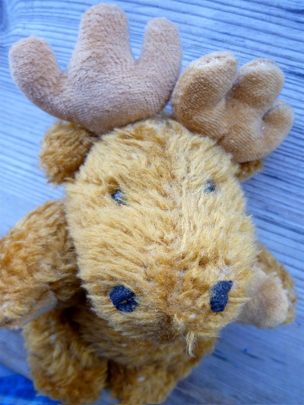 Puppen: Stofftier Elch – Gebraucht aus Aarau von Rdodger 3