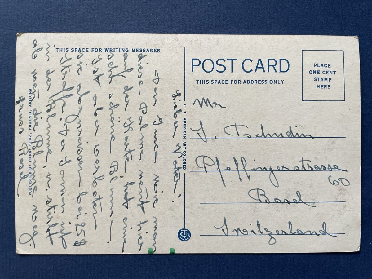 Cartoline postali: Originale Vintage Ansichtskarte Yucca Bloom Phoenix, Arizona – Usato da Neuhausen am Rheinfall venduto da Arielle55 1