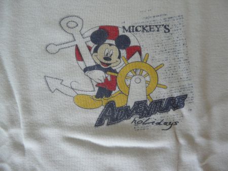 2 T-shirts Gr. 116 - 122 Marke Absorba