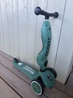 Scoot and Ride Scooter Highwaykick 1 forest