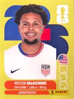Carte FIFA World Cup 2026 USA 10