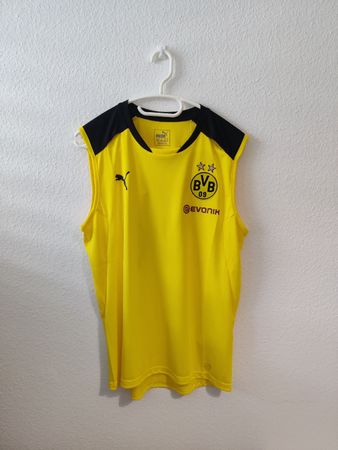 Borussia Dortmund 2017/18 Trainingstrikot (M)