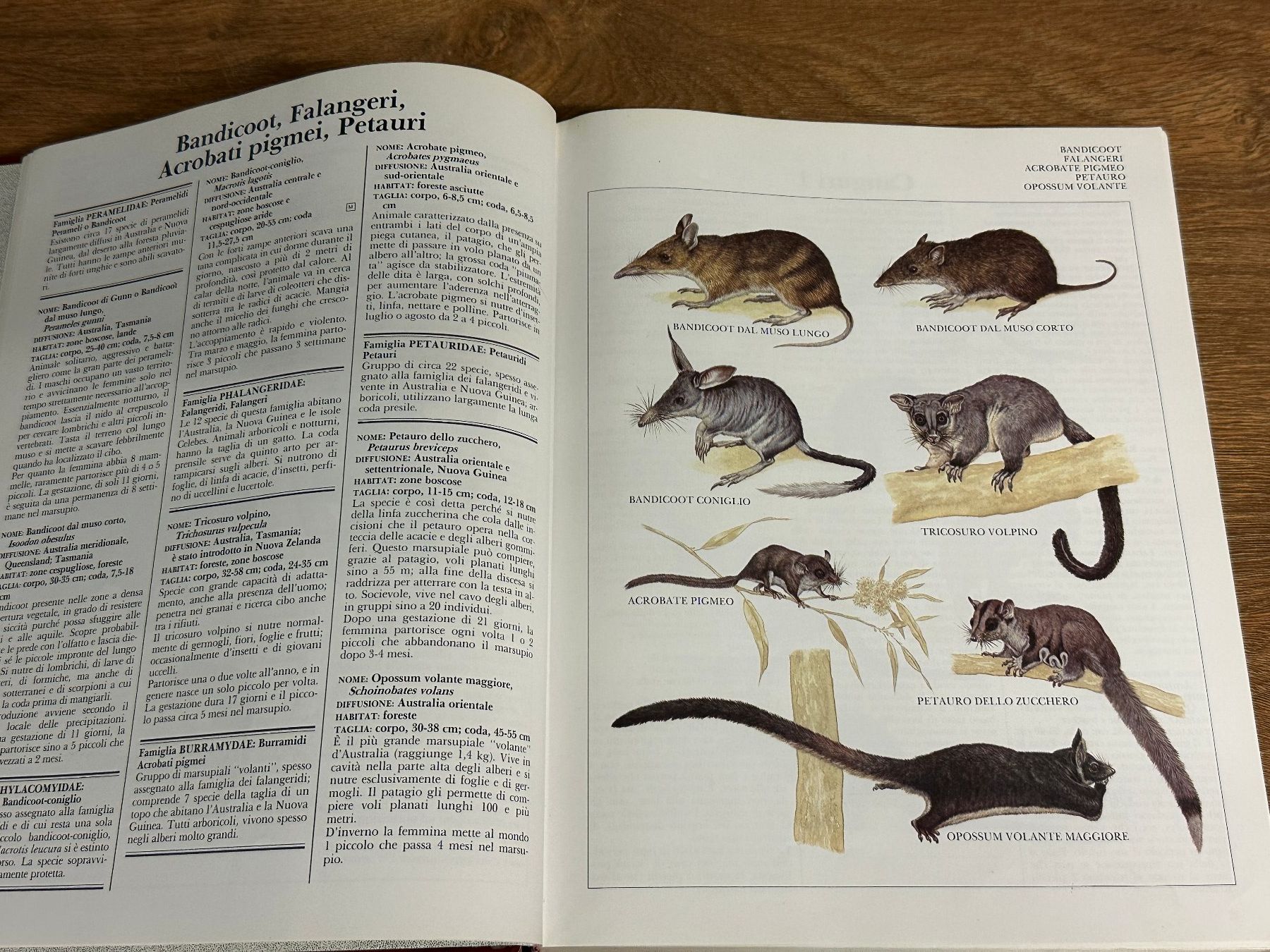 Bücher: Tier-Enzyklopädie, reich illustriert – Gebraucht aus Nussbaumen AG von olitech5415 2