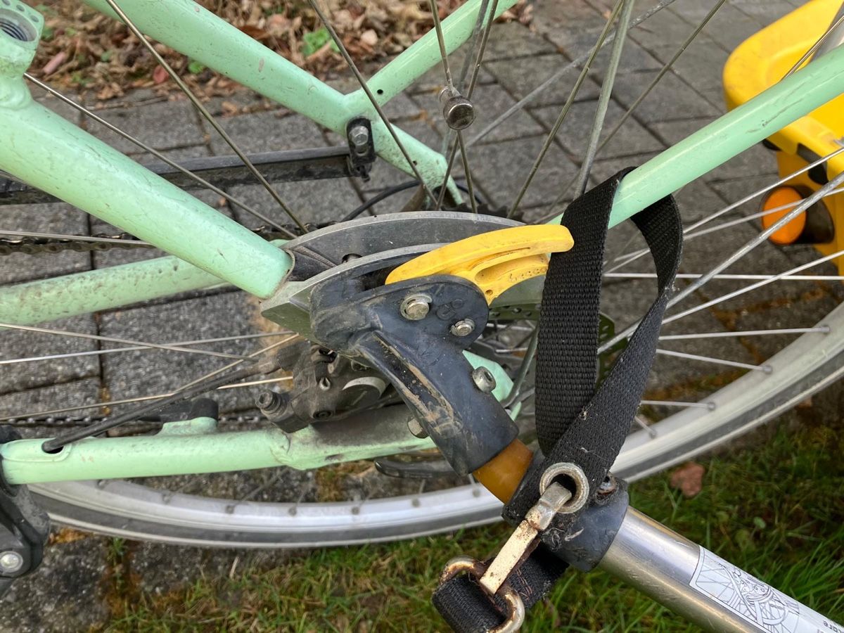 Leggero Rimorchi: Kid Trailer - Perfect for Spring Rides! – Usato da Adliswil venduto da Thomas.hettich 3