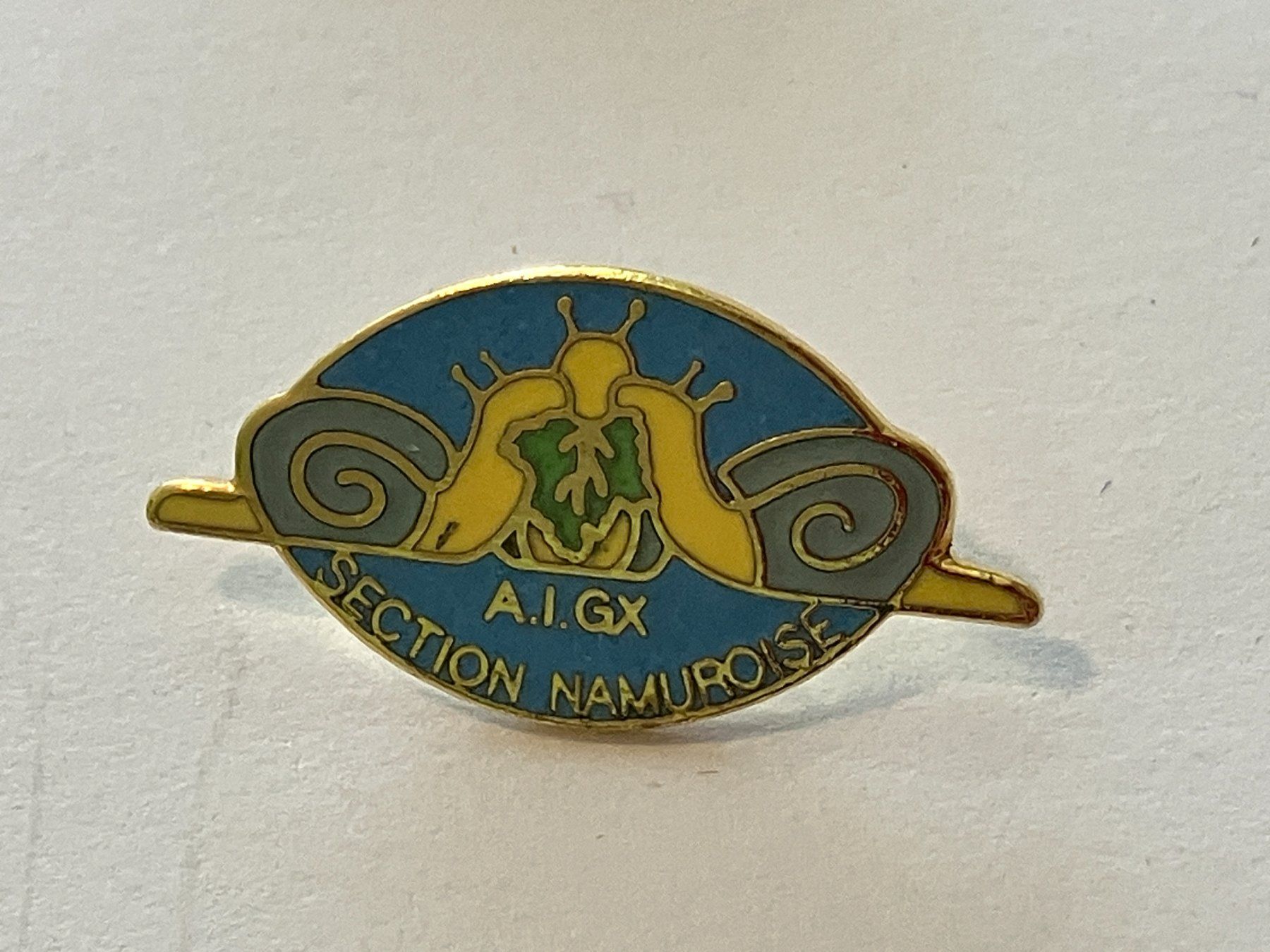 Placchette & Badge: 1 Pin A.I.GX Section Namuroise – Usato da Basel venduto da djwwpp