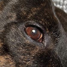 Profile image of vinylmore