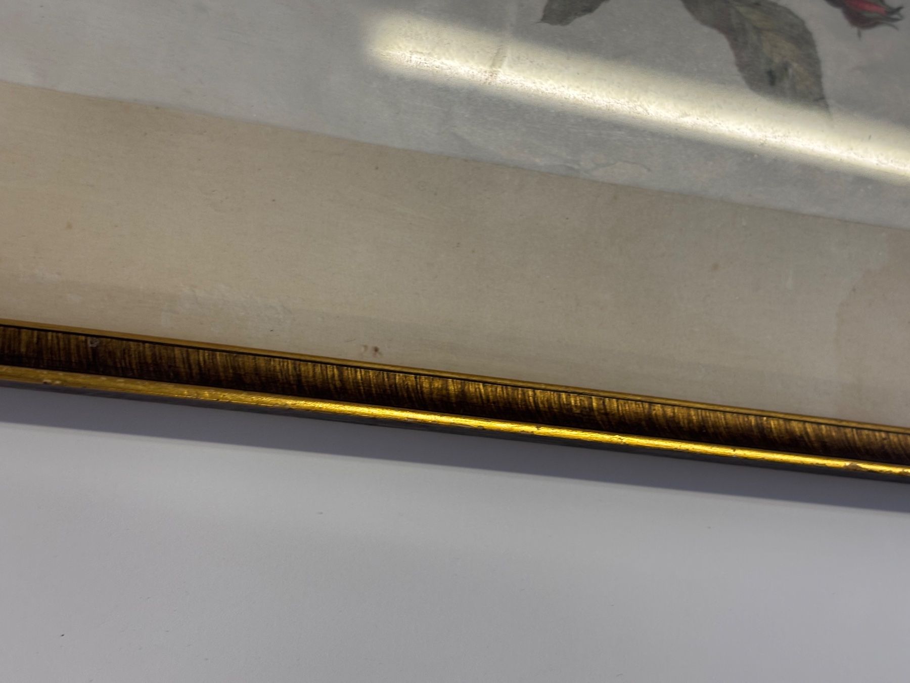 Cornici: Goldener Bilderrahmen mit Rosen bild – Usato da Wettingen venduto da Wendemarket 2