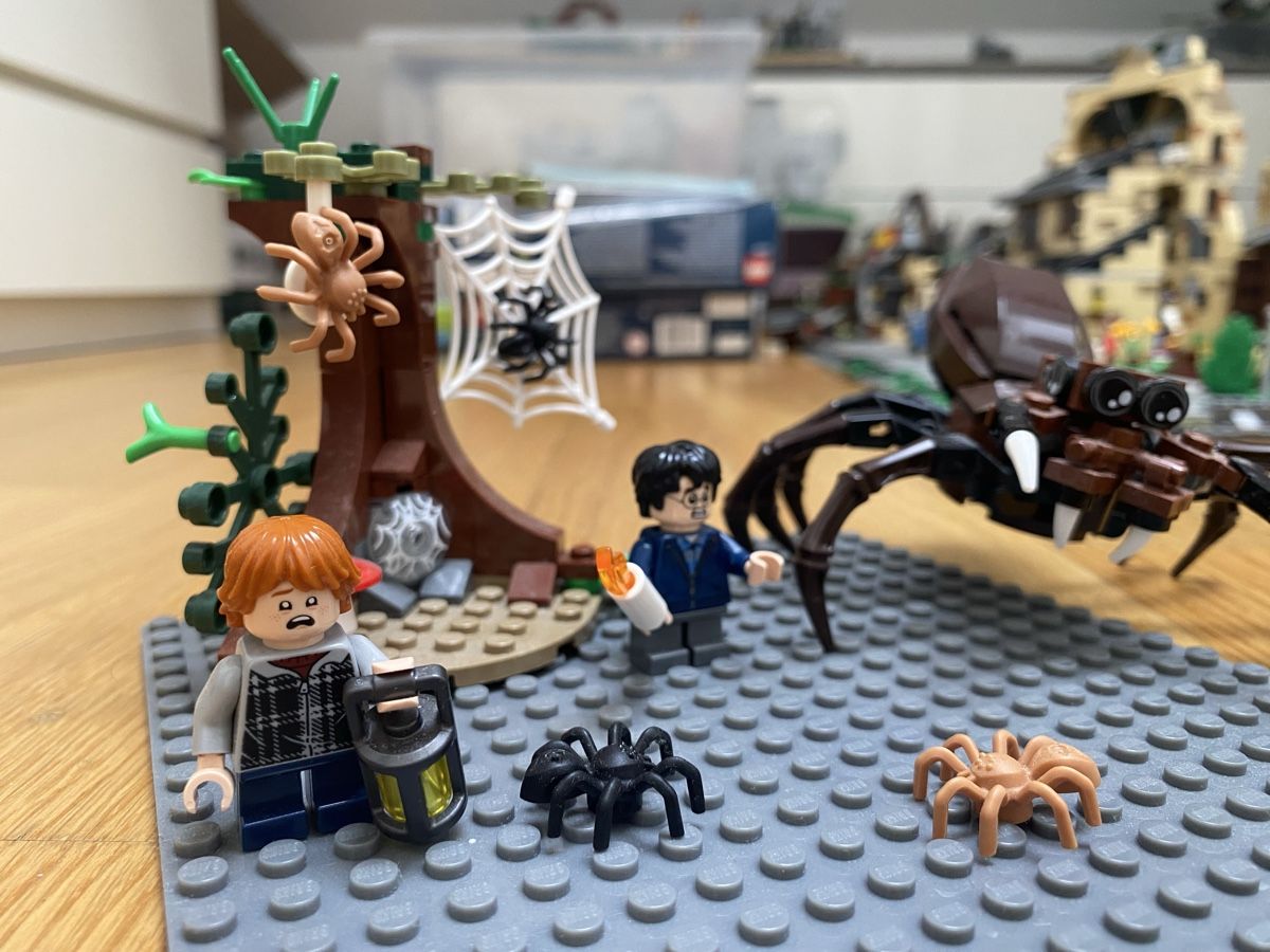 Lego Kit di costruzioni: Lego Harry Potter 75950 Aragogs Versteck – Usato da Basel venduto da maz_5q92 2