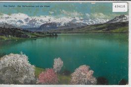 Das Seetal - Der Hallwilersee und die Alpen - Litho