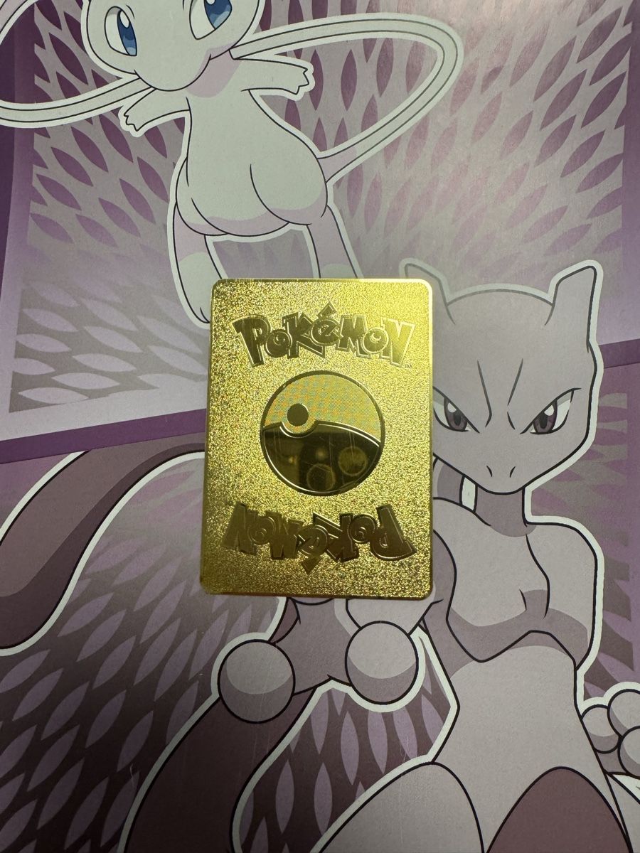 Pokémon Carte collezionabili: Pokémon Karte aus Metall – Nuovo (secondo la descrizione) da Emmenbrücke venduto da paj_q8wx 1