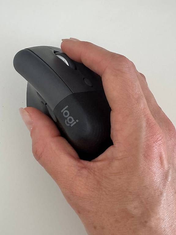 Maus: Logitech Lift (kabellos) – Gebraucht aus Tägerwilen von lis_2gts 2