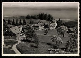 AK Walzenhausen /App., Blick auf den Bodensee