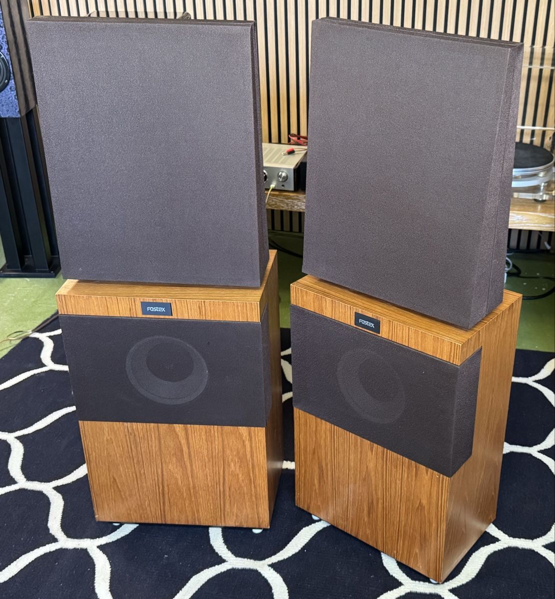 Fostex Lautsprecher: Fostex GZ1001 – Gebraucht aus Ebertswil von audivero 6