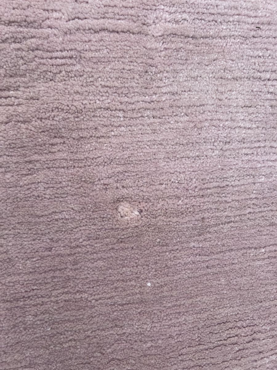 Tapis: Orientteppich (15/2) – D'occasion à Glattfelden par brockischweiz 3