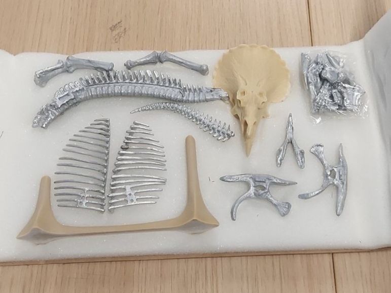 Kit di modellismo & Modellini statici: Museum quality  Models 1:35 Triceratops Skeleton – Nuovo e nell'imballaggio originale da Chur venduto da FeschtlandBrockiChur 2