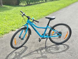 Naloo Chameleon 24 Zoll – Ultraleichtes Kindervelo (Türkis