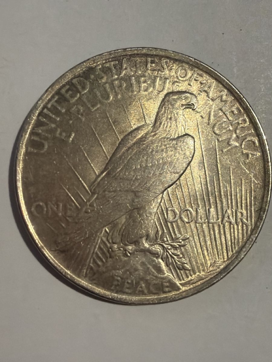 Tutti le monete: Ohne Dollar Liberty – Usato da Hittnau venduto da Pat_yl7f