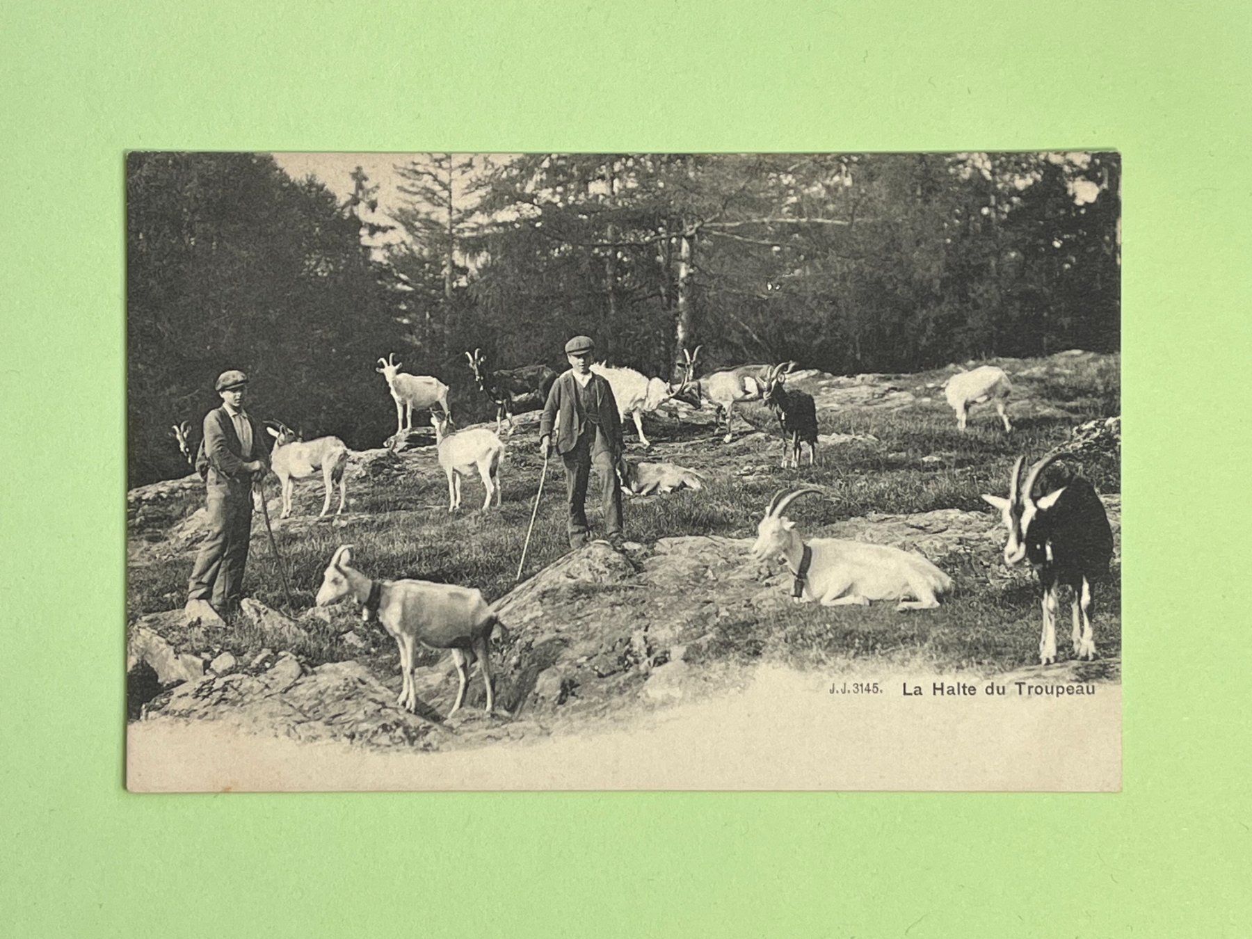 Cartoline postali: La Halte du Troupeau – Usato da Steg VS venduto da danwer74