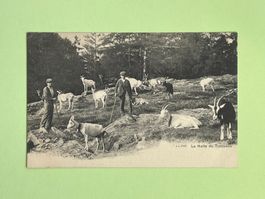 La Halte du Troupeau