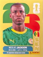 Carte FIFA World Cup 2026 SEN 19