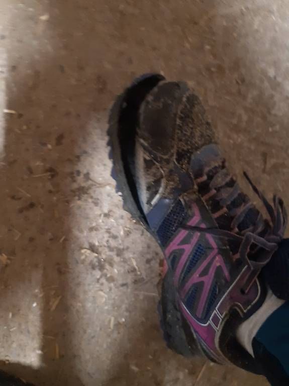 Damenschuhe: Sportschuhe – Gebraucht aus Nebikon von Haidihooo 1