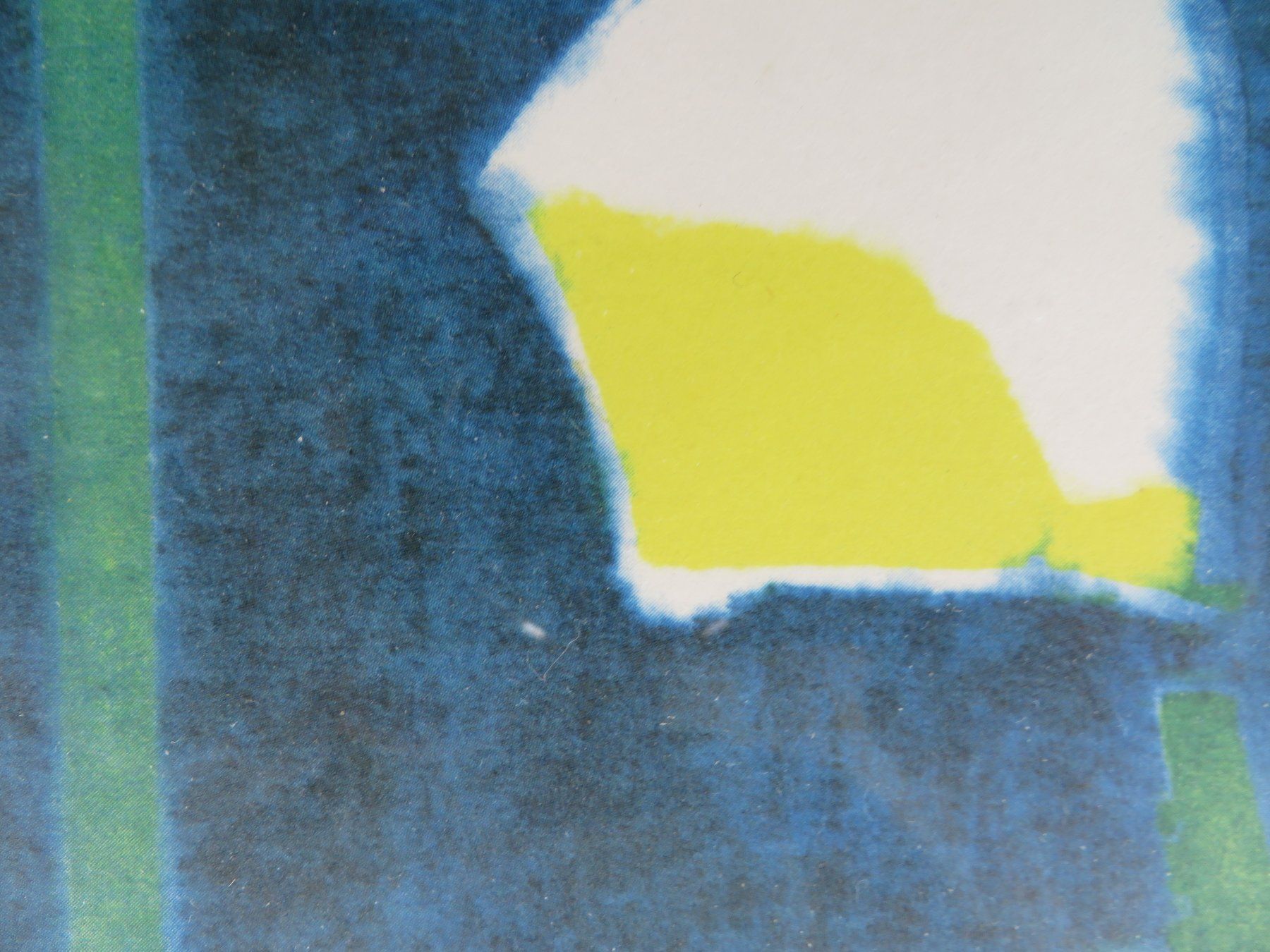 Grafica & Litografie: Ferdinand Gehr Litho  1896-1996 – Usato da Bad Ragaz venduto da FutureZ 2