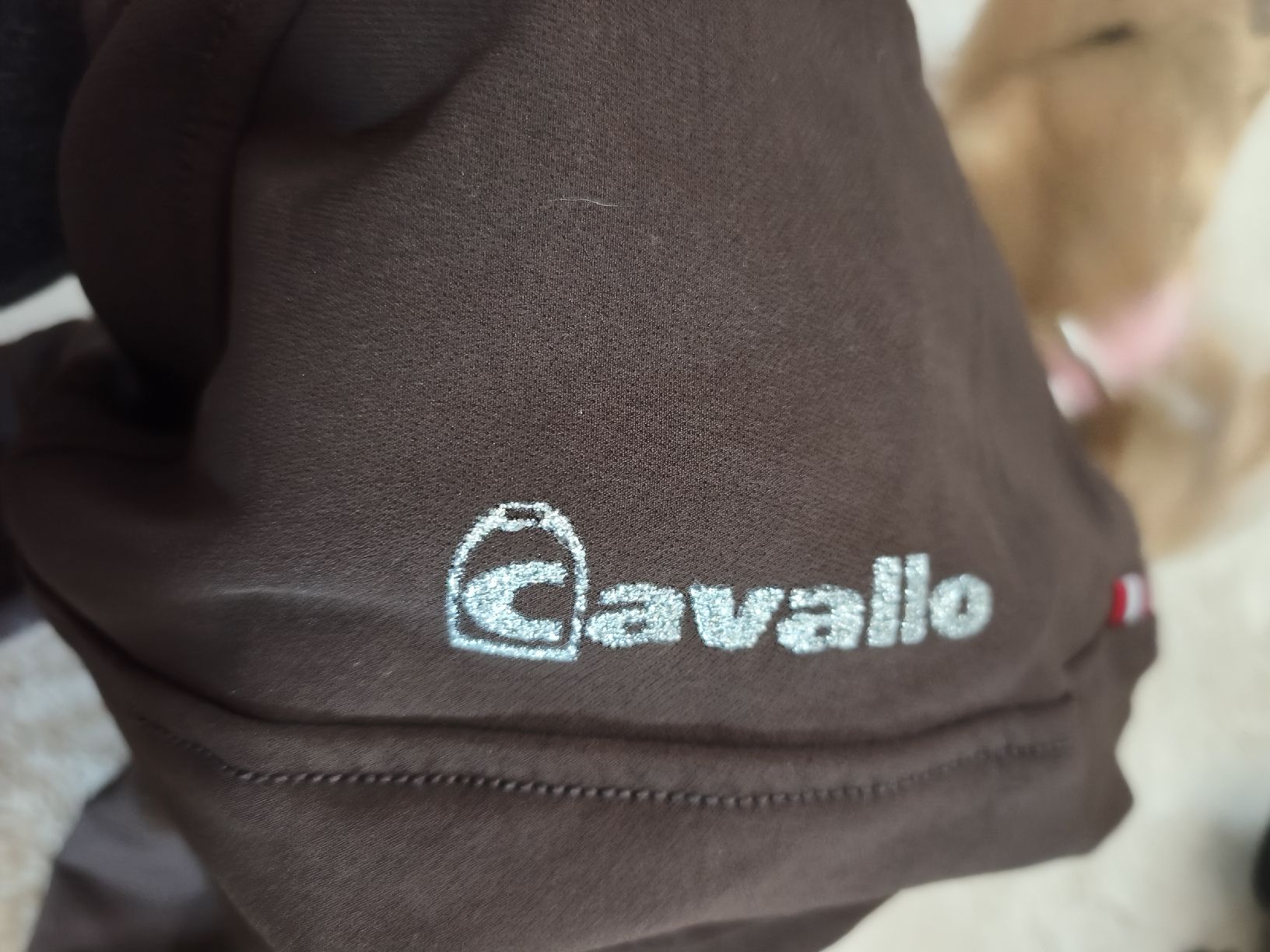 Pantaloni: cavallo Reithose Gr.34  – Usato da Remigen venduto da moondance1989 2