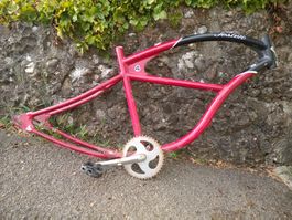 Fahrrad Velo Coustom Rahmen