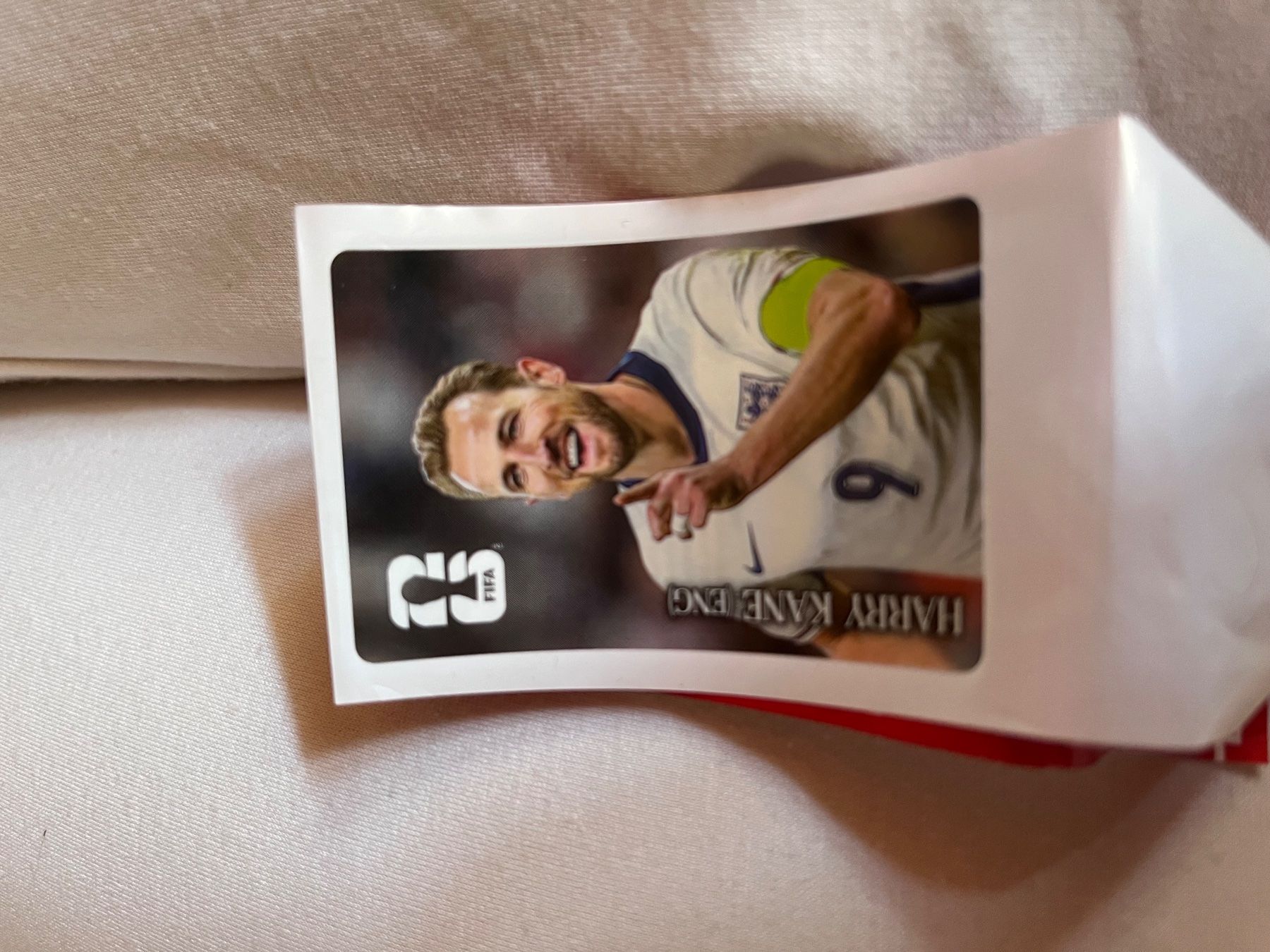 Panini Cartes à collectionner: Panini – Neuf avec emballage d'origine à Bäretswil par Rasubi