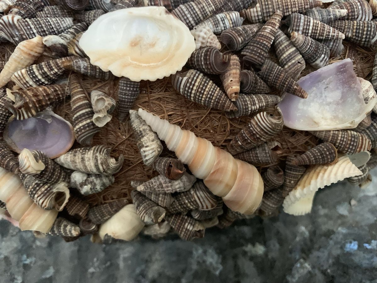 Alle Dekorationen: Maritimer Deko-Muschelkranz, Handarbeit, 37 cm – Gebraucht aus Rikon im Tösstal von miarosen 8