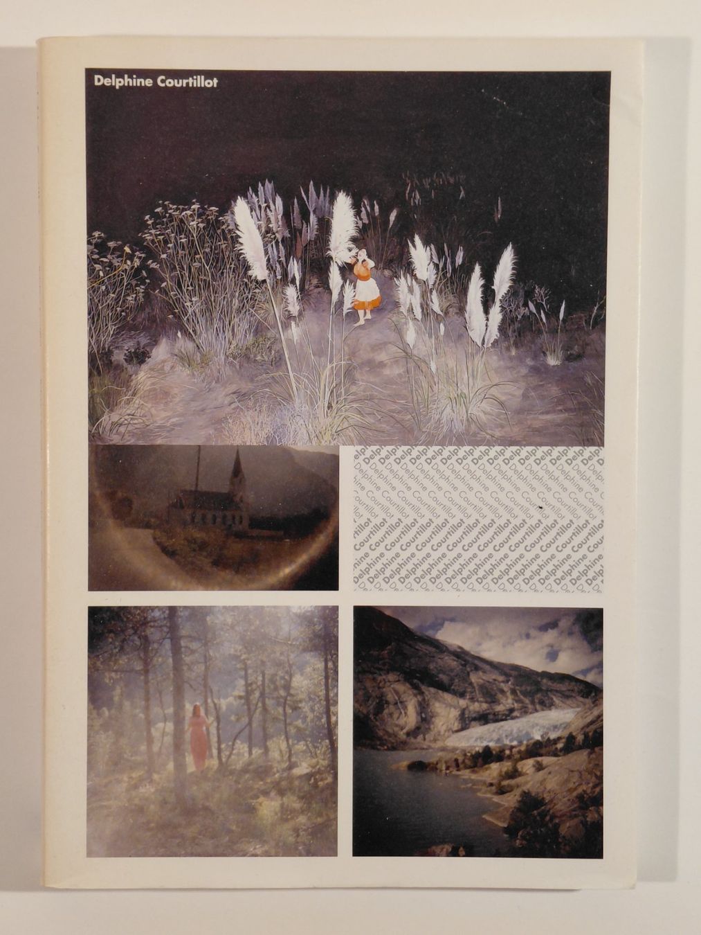 Libri: Delphine Courtillot - Bart van der Heide – Usato da Winterthur venduto da SilverFR