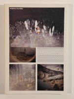 Delphine Courtillot - Bart van der Heide