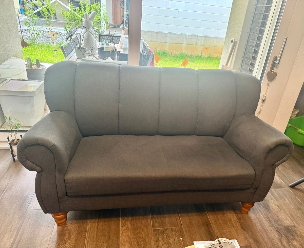 Divani: Sofa 2-Sitzer grau, gut erhalten, CHF 50,- – Usato da Hendschiken venduto da gfc_81 5