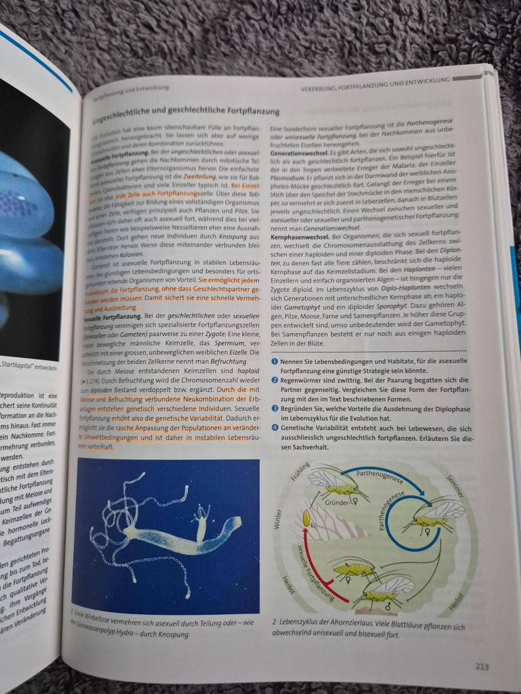 Livres: Biologie – D'occasion à Reigoldswil par lus_76dn 2