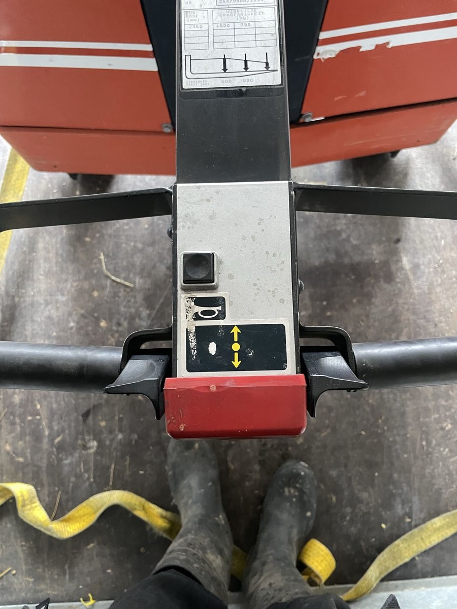 Ameise Gabelstapler & Hubwagen: ameise mit ballen dorn – Gebraucht aus Weiningen ZH von tobiasg 4