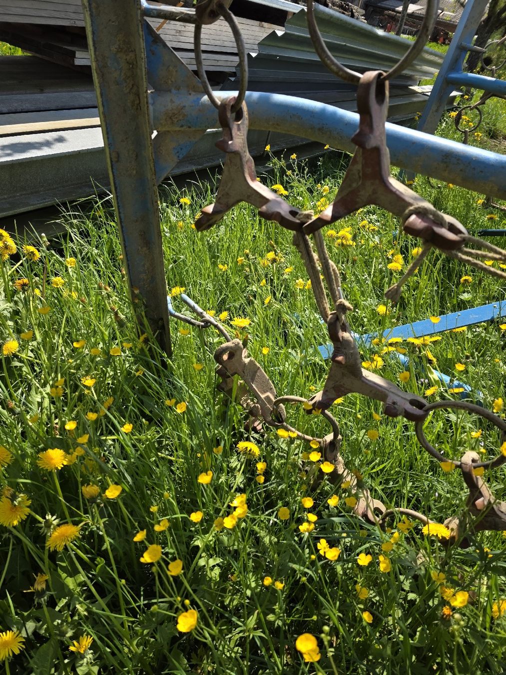 Tutte le macchine: 6m Wiesenegge – Usato da Oberkulm venduto da Deutzfahrer04 3