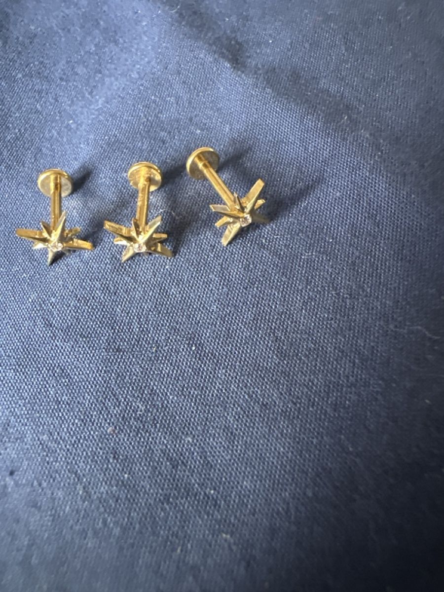 Boucles d'oreille: Boucles d'oreilles Chloe Rose ✨ – Neuf avec emballage d'origine à Lausanne par pascale.mojito1004