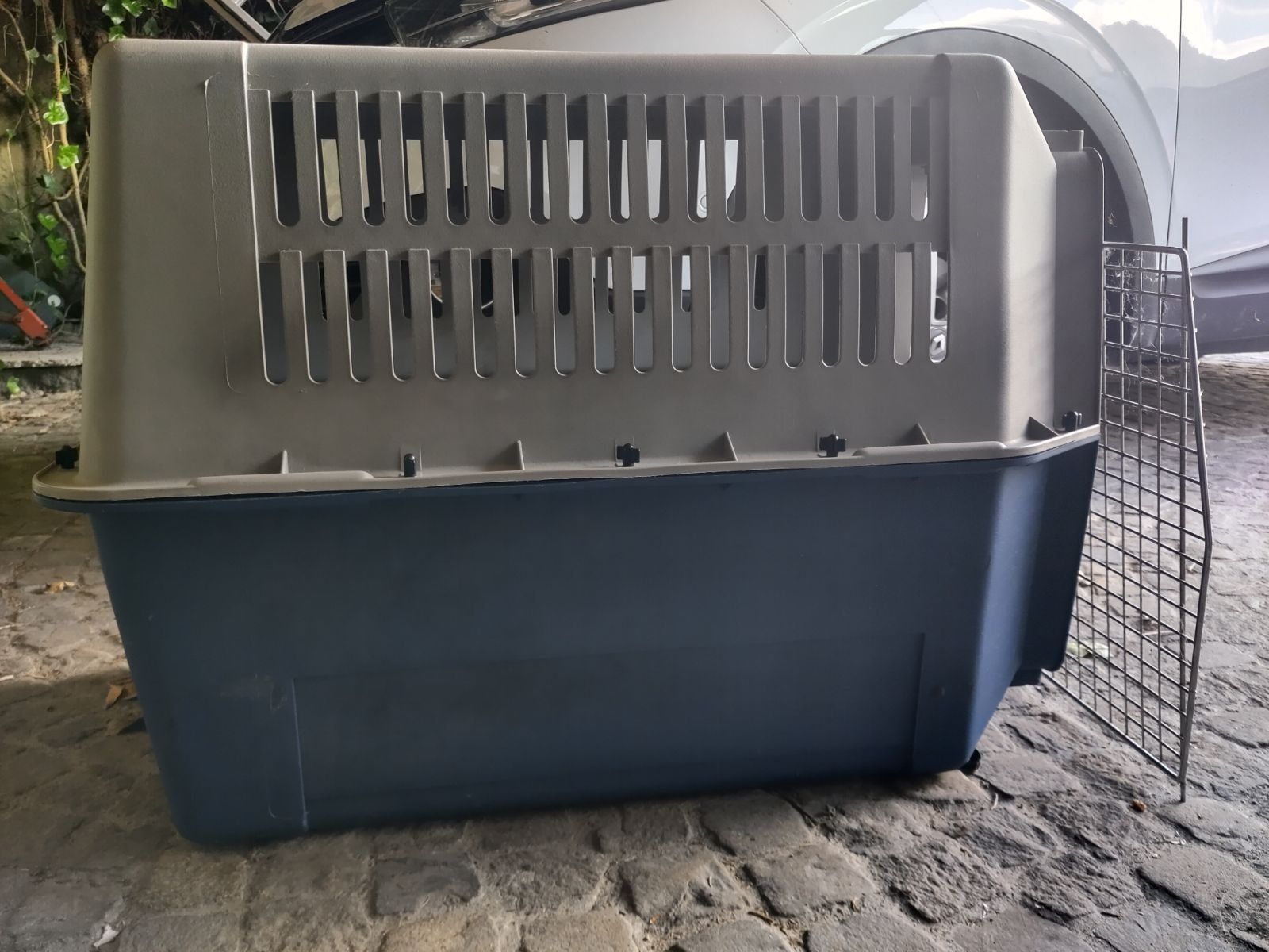 Gabbie, trasporto & Sicurezza: Hundebox Transportbox – Usato da Schwändi GL venduto da kunubu 1