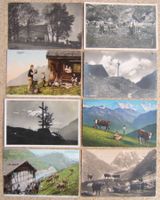 8 AK AUF DER ALP 1902 - 1932
