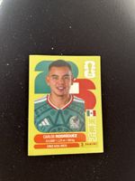 Panini MEX 9