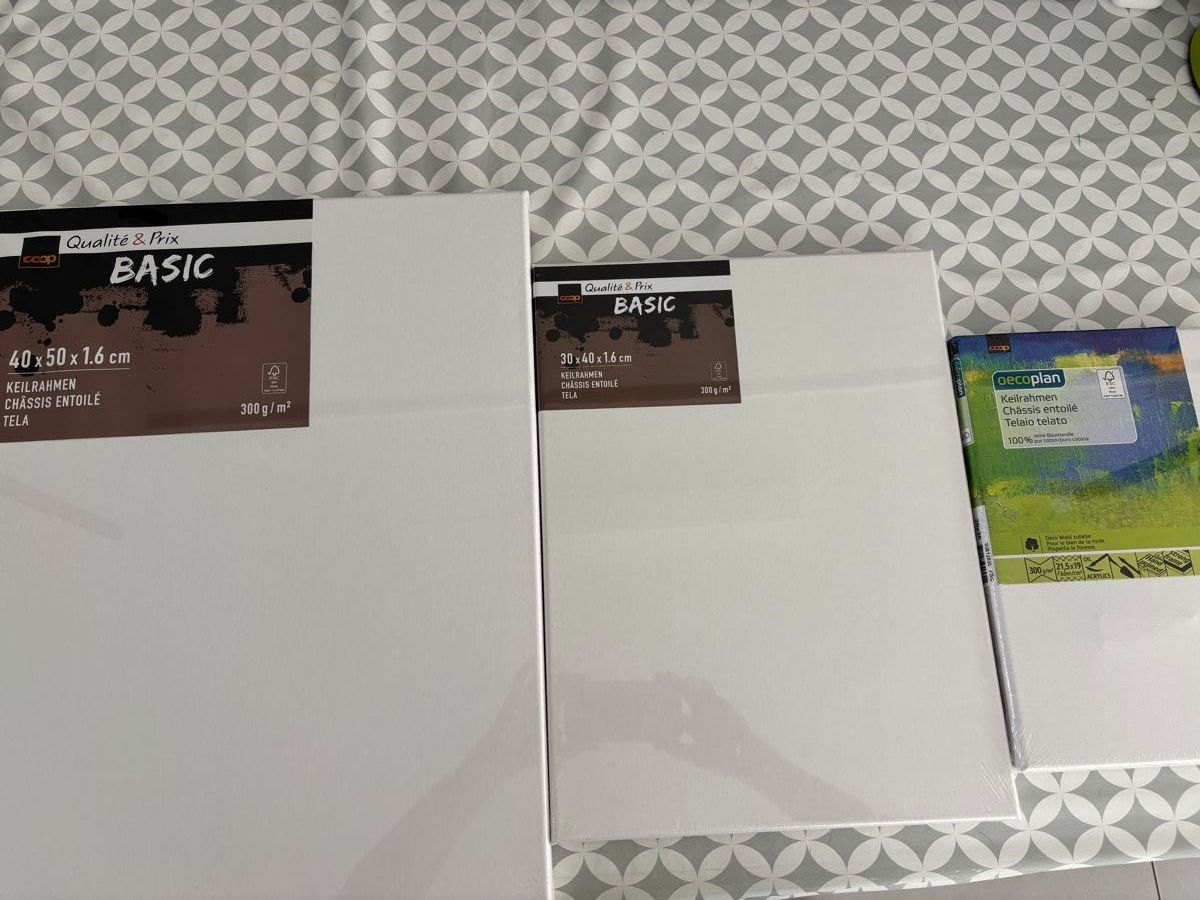 Poster & Bilder: 3 versch. Malleinwände – Neu und originalverpackt aus Herzogenbuchsee von ameise02